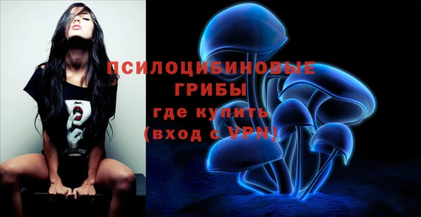 крисы Алексеевка