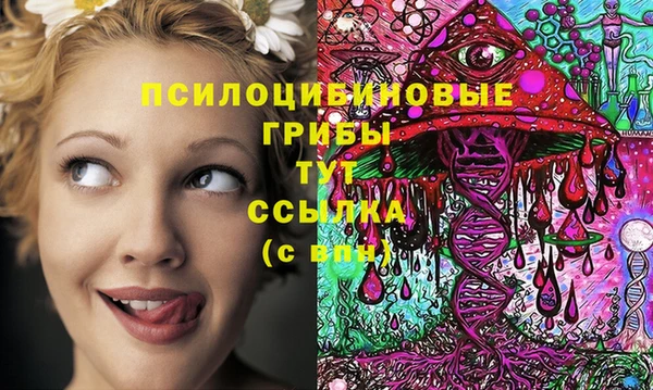 не бодяженный Алексин