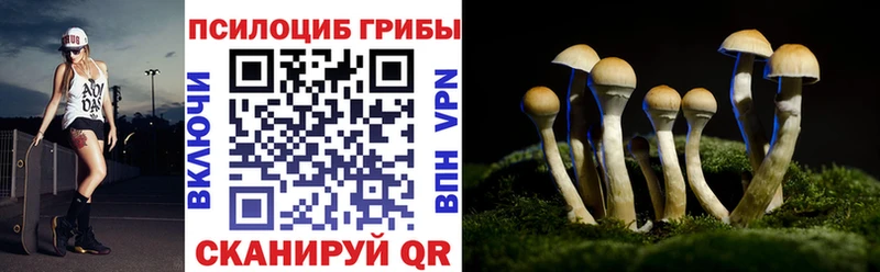 omg сайт Камешково Псилоцибиновые грибы Psilocybine cubensis