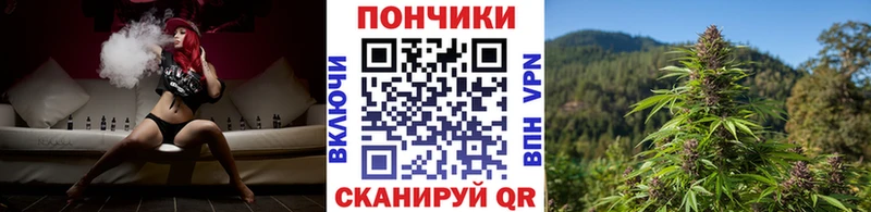 Шишки марихуана гибрид  ОМГ ОМГ ссылки  Камешково 